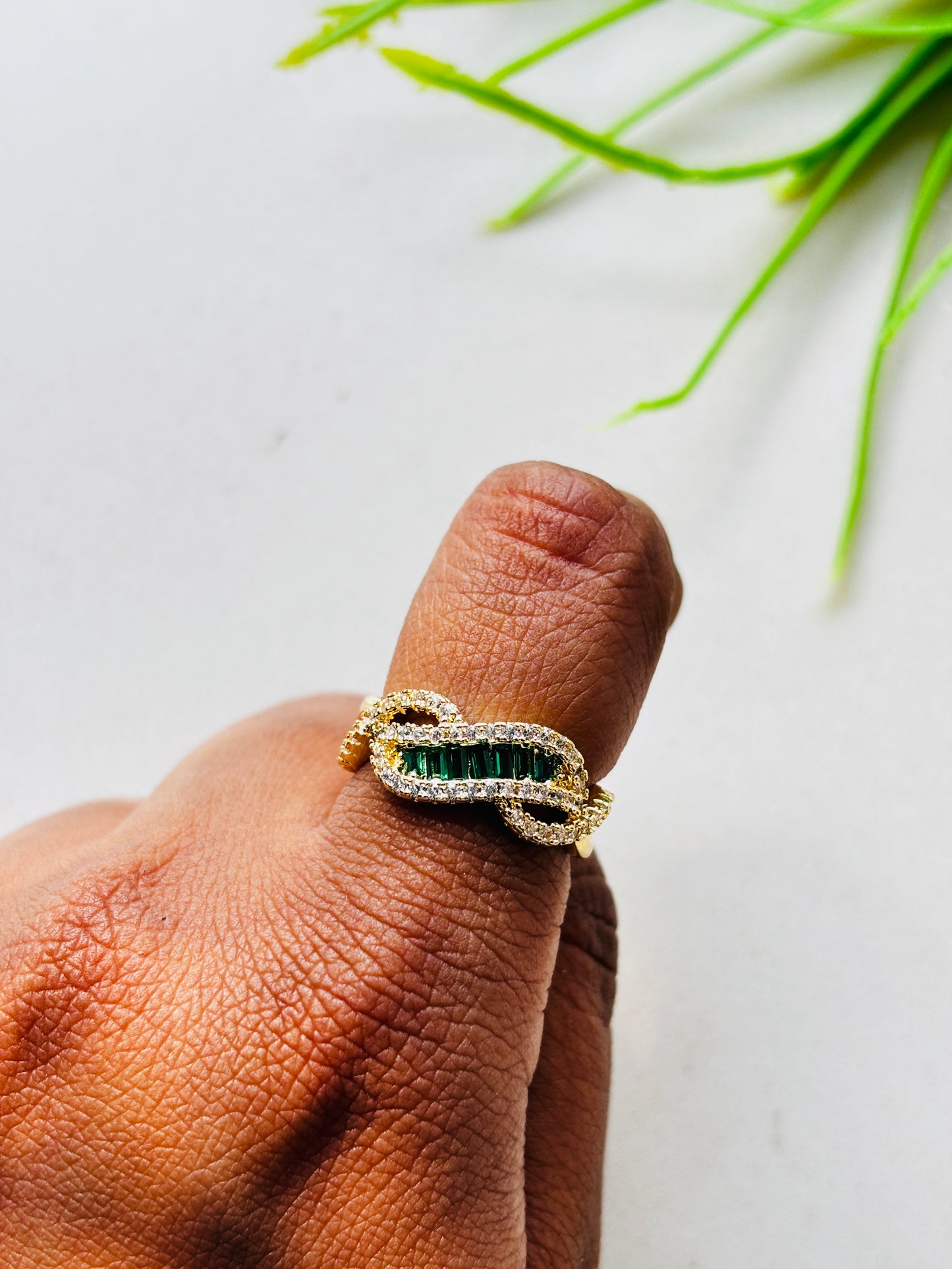 The Rainforest Ledge