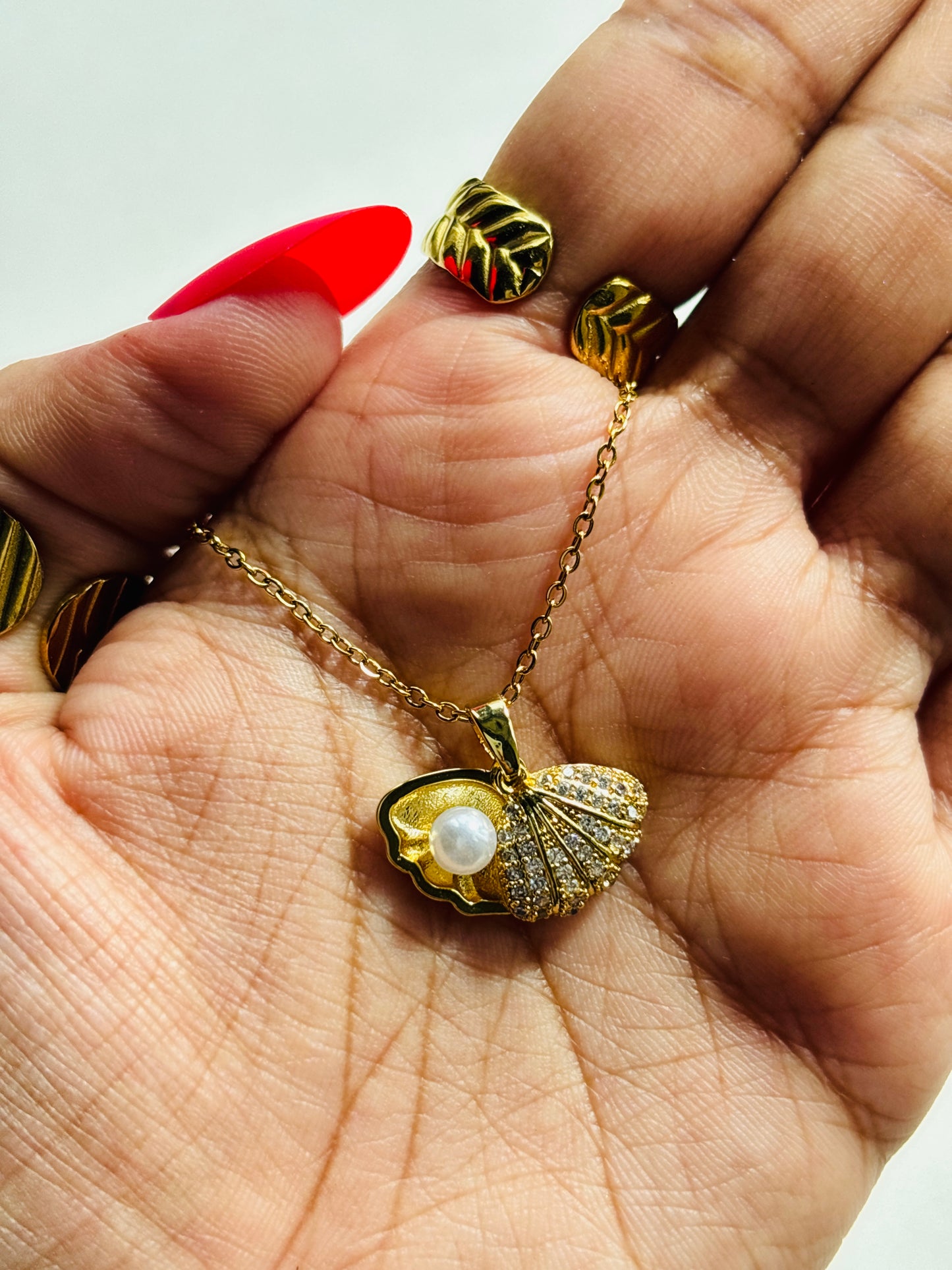 Sea Shell