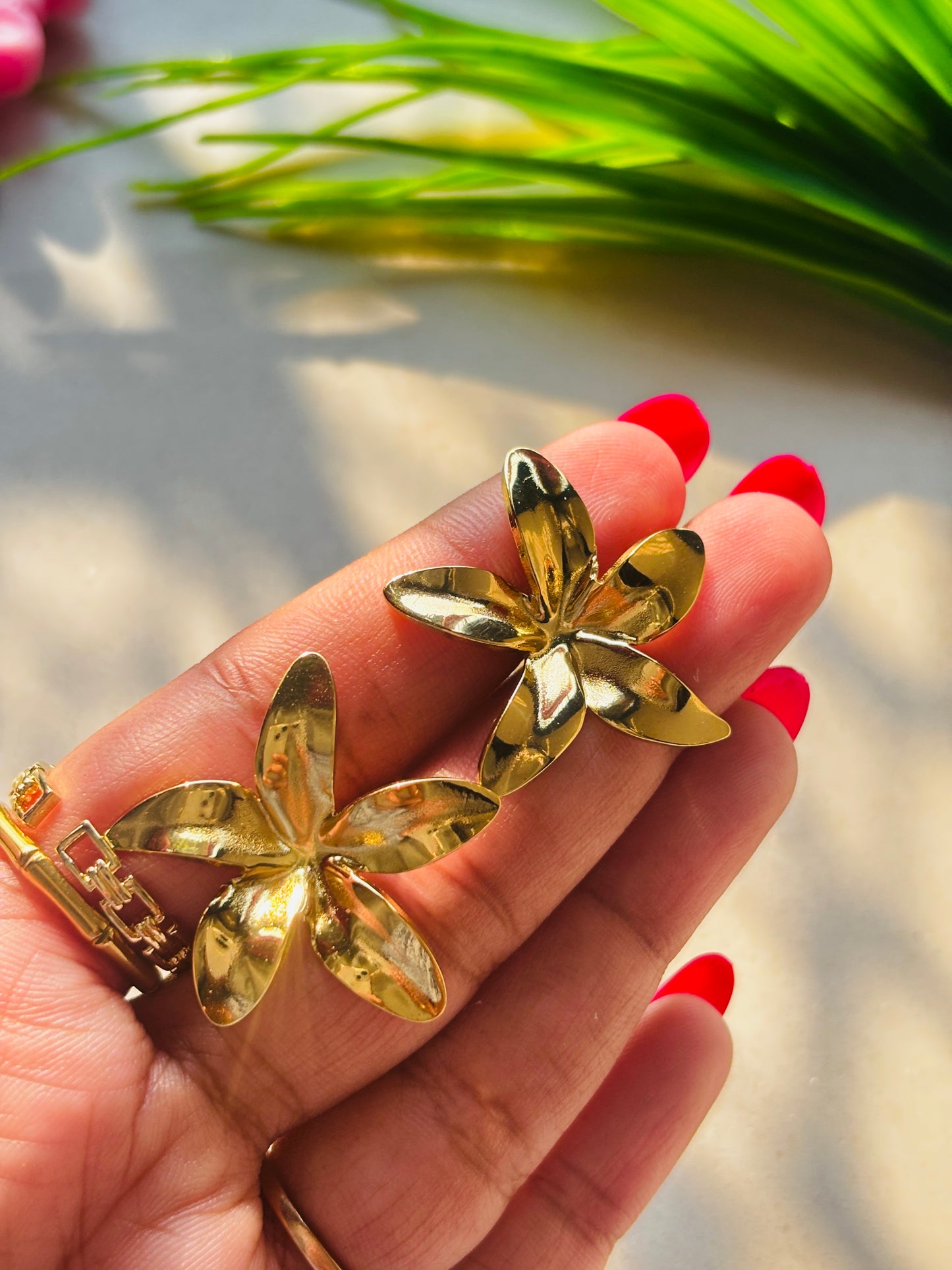 Tropicana Petal Earnings