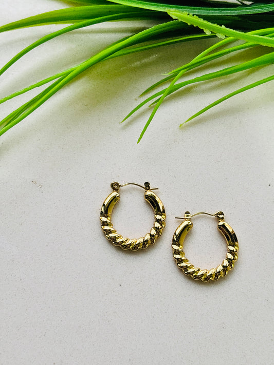 Glossy Rope-Embossed Gold Hoop Earrings